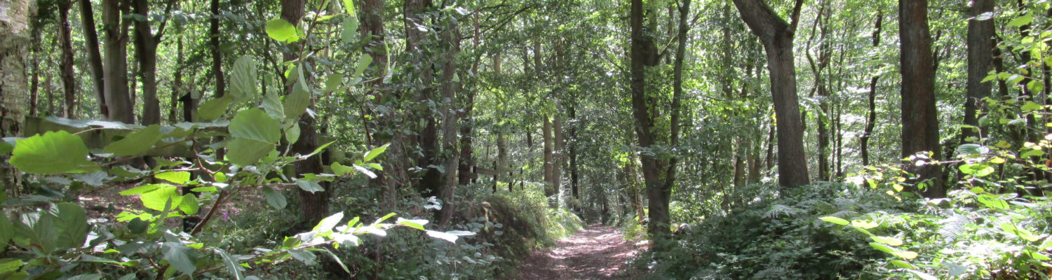 Rando-contes le long du Vert-Buisson
