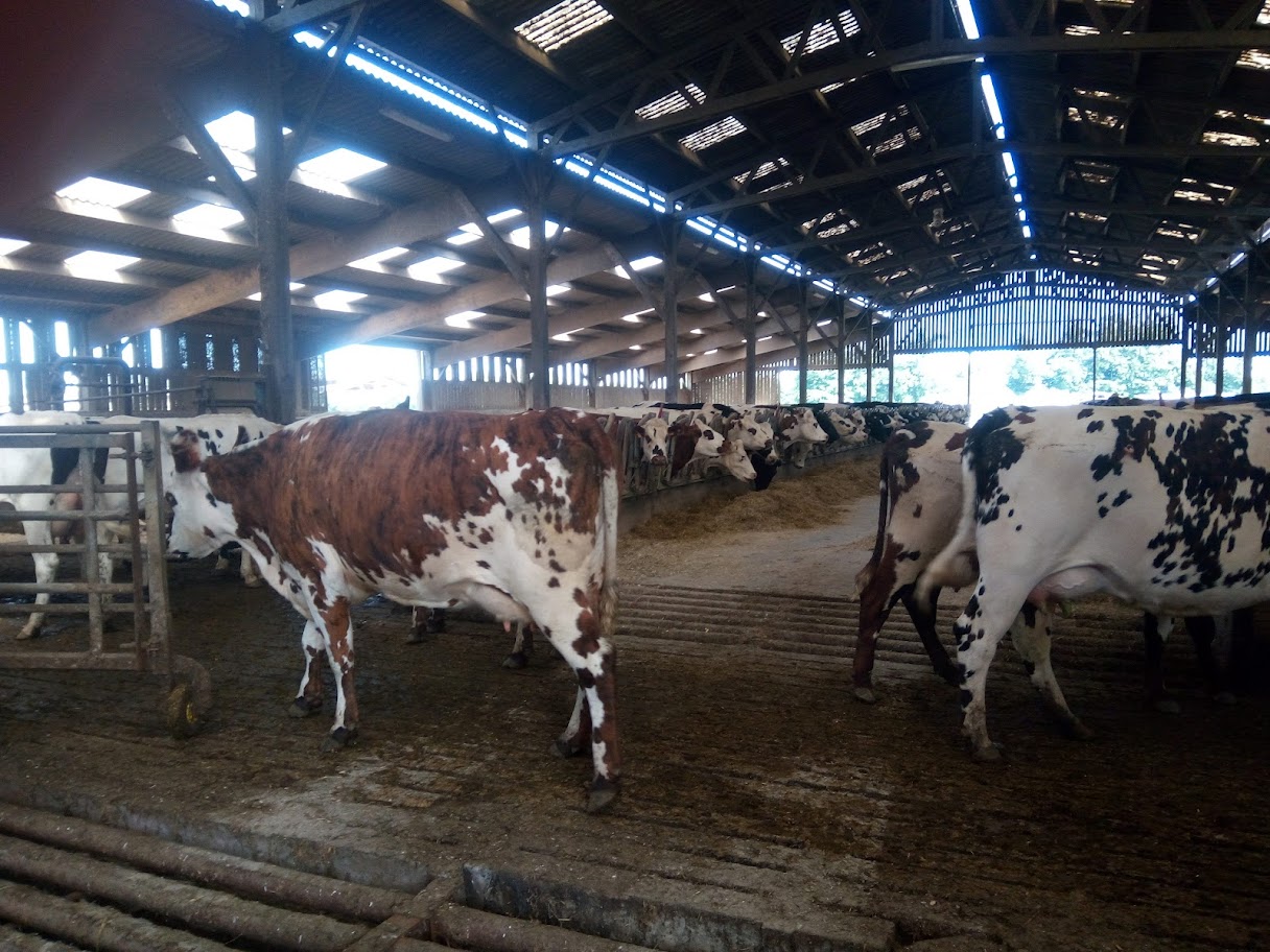 Visite de l'exploitation du Lycée Agricole