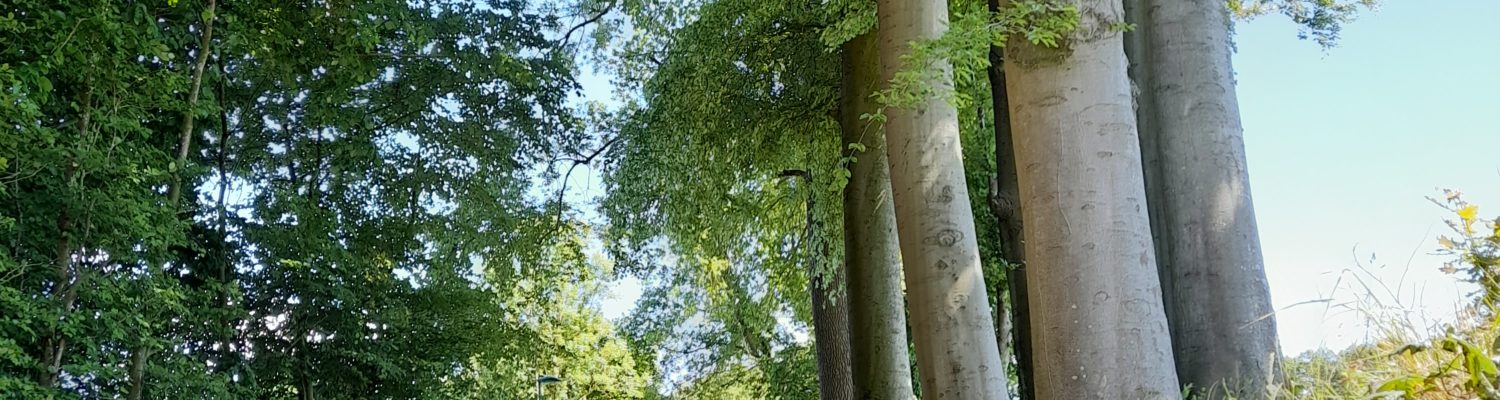 VISITE ITINÉRANTE - LES CLOS-MASURE EN PAYS DE CAUX