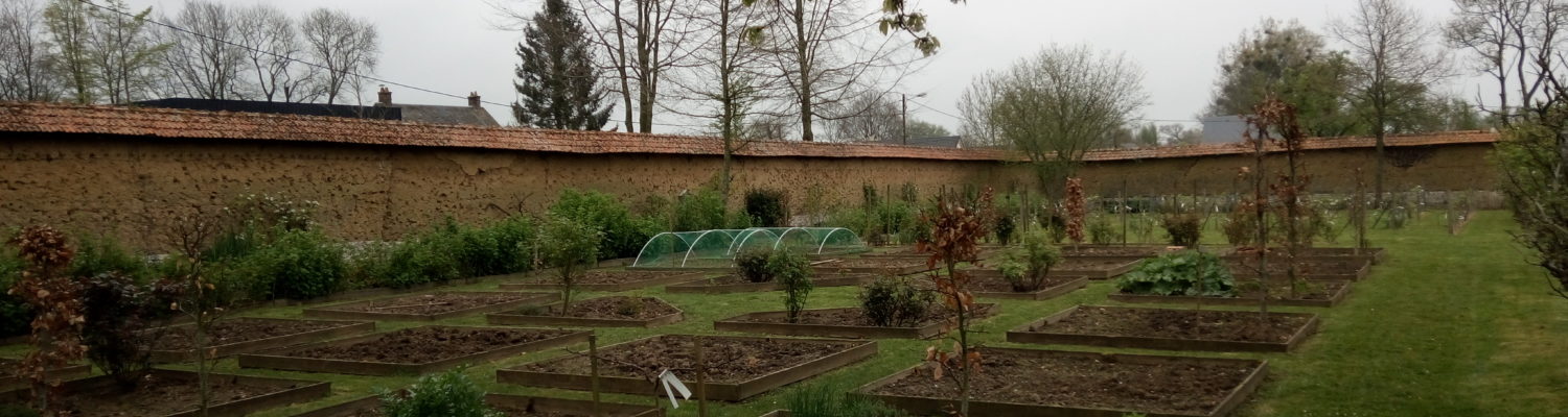 Prends-en de la graine ! Atelier jardinage autour de la récolte