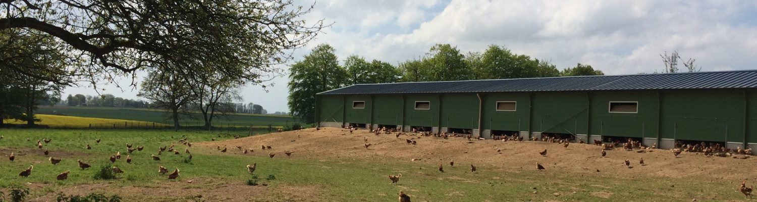 A la ferme de la Bruyère, on s'éclate en plein air !