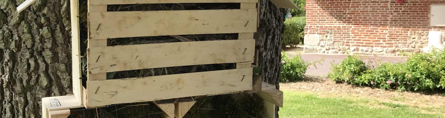 Un hôtel pour les insectes