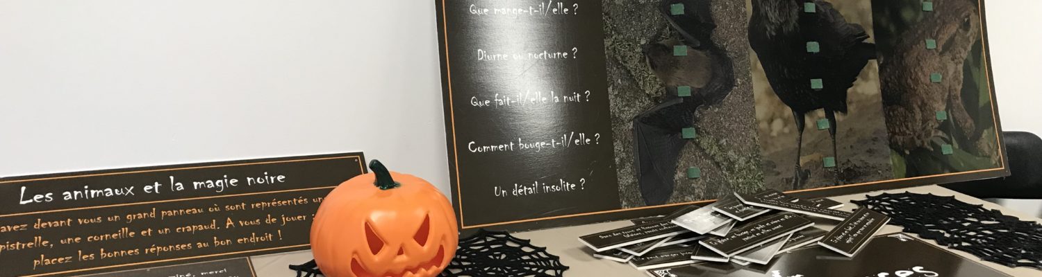 Les animaux d'Halloween au Manoir du Catel