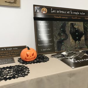 Les animaux d'Halloween au Manoir du Catel