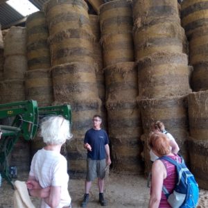 LE LIN DANS TOUS SES ÉTATS, LE PARCOURS D’UNE GRAINE : VISITE À LA FERME