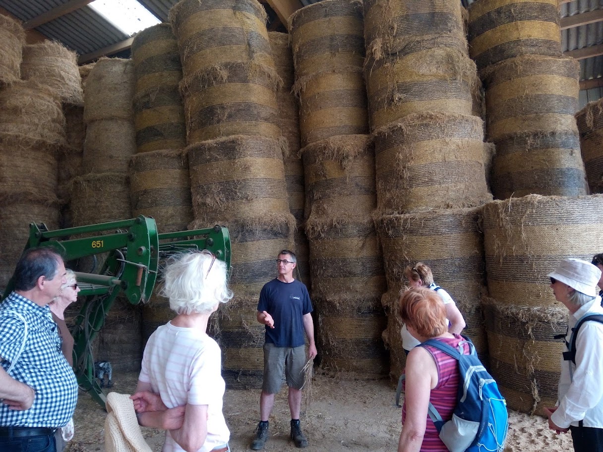 LE LIN DANS TOUS SES ÉTATS, LE PARCOURS D’UNE GRAINE : VISITE À LA FERME