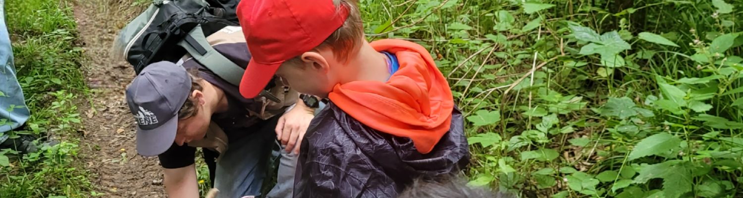 Objectif biodiversité : jeu de piste en pleine nature