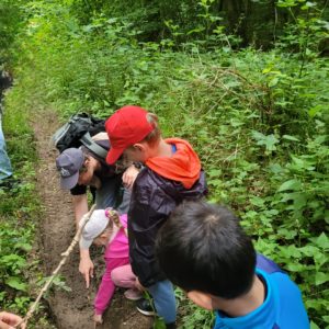 Objectif biodiversité : jeu de piste en pleine nature