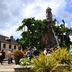 Balade à la découverte d'Allouville-Bellefosse
