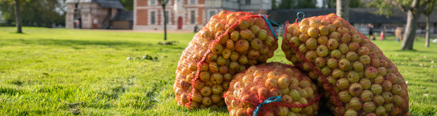 Balade commentée du verger du Manoir du Fay