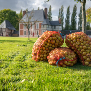 Balade commentée du verger du Manoir du Fay