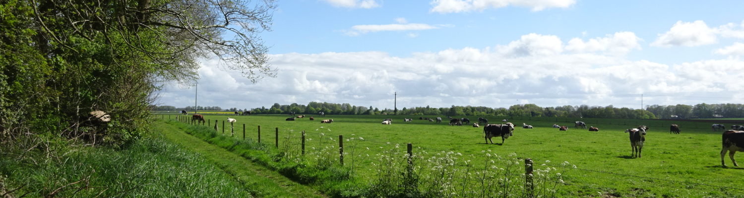 Rendez-vous à la ferme du Bois-Gribout
