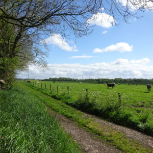 Rendez-vous à la ferme du Bois-Gribout