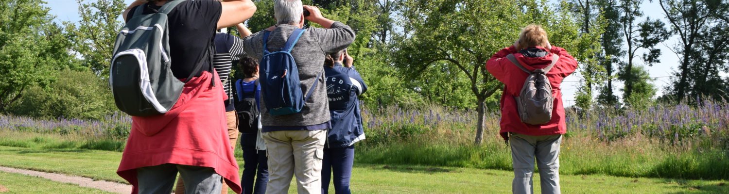Balade à plume, randonnée au cœur du monde des oiseaux