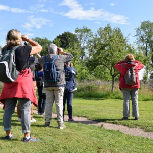 Balade à plume, randonnée au cœur du monde des oiseaux
