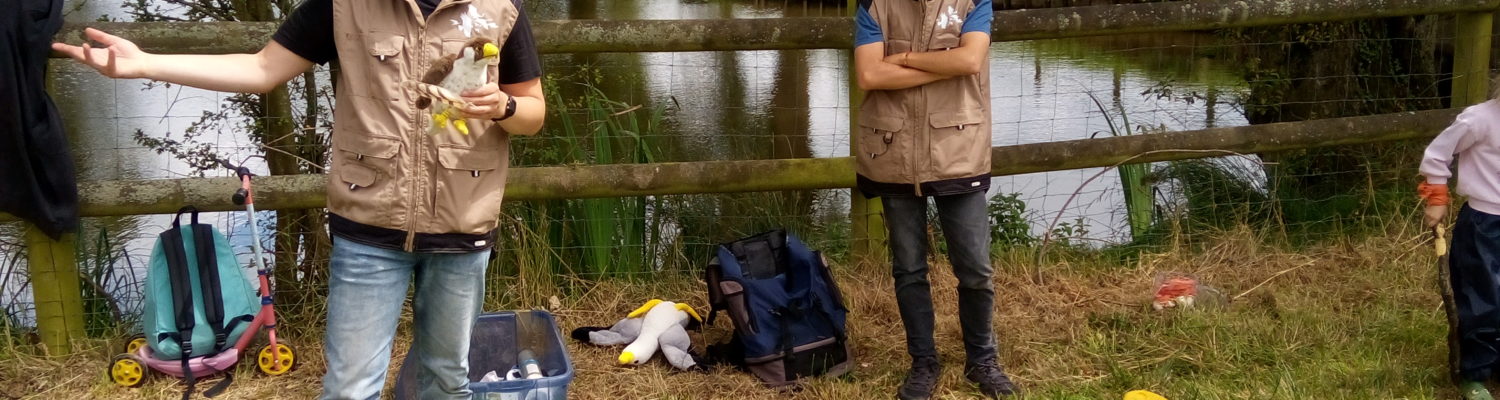 Bricol'Nature : Fabriquer pour aider les animaux