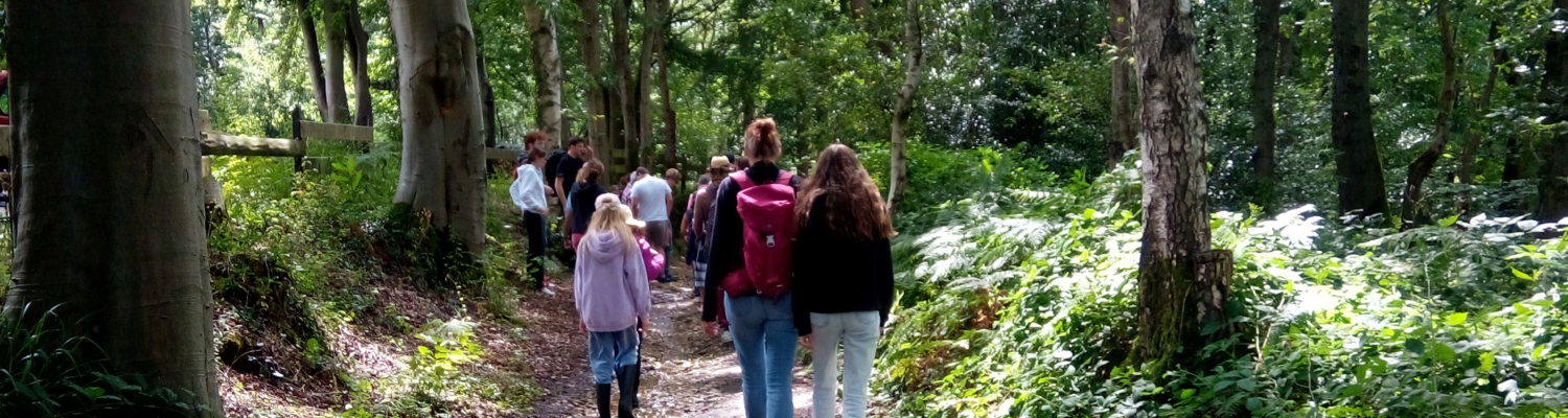 Au fil des saisons : la vie secrète des animaux