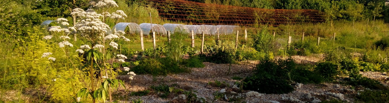 Tous au potager