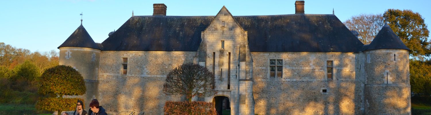 Citrouilles, plumes et poils : Halloween nature