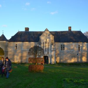 Citrouilles, plumes et poils : Halloween nature